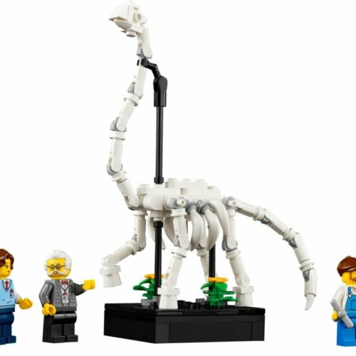 LEGO Icons 10326 Naturhistorisches Museum: Alle Infos, Bilder und Videos